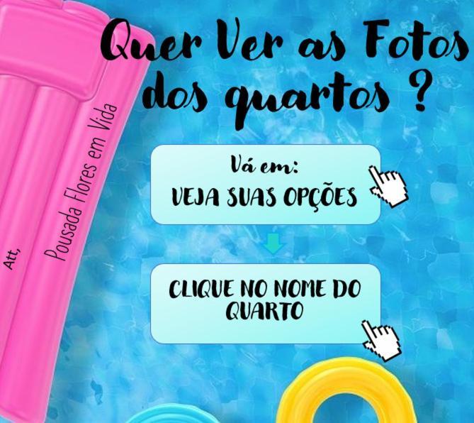 Flores Em Vida Olimpia